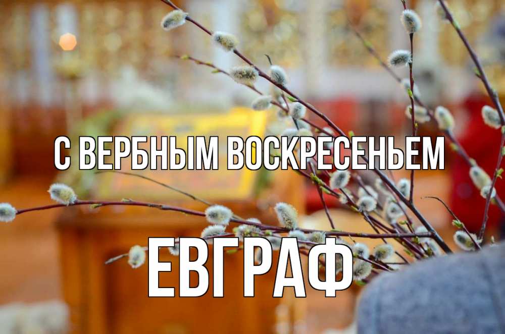 Открытка на каждый день с именем, Евграф С вербным воскресеньем верба Прикольная открытка с пожеланием онлайн скачать бесплатно 