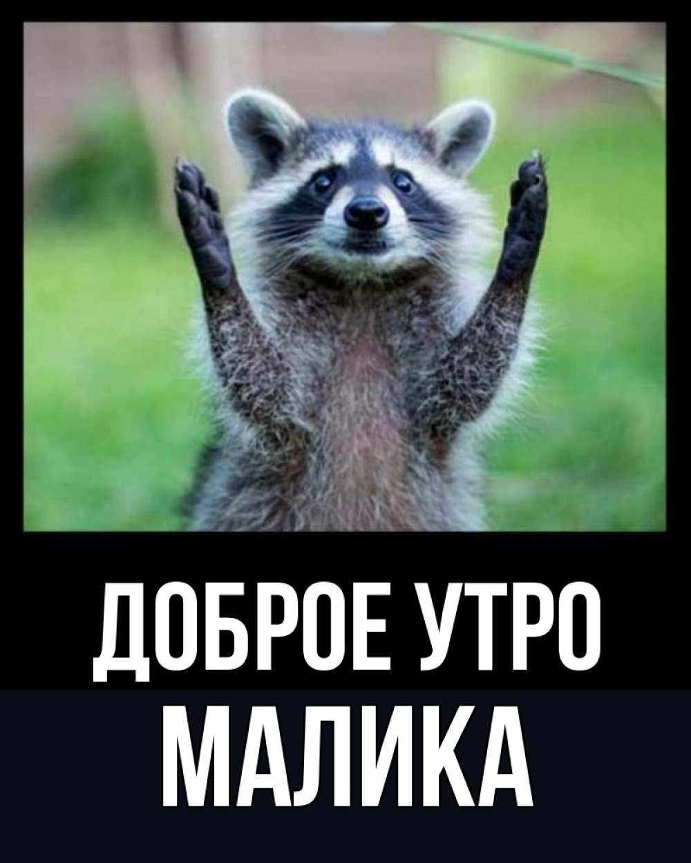 Открытка на каждый день с именем, Малика Доброе утро хорошее настроение утречком Прикольная открытка с пожеланием онлайн скачать бесплатно 