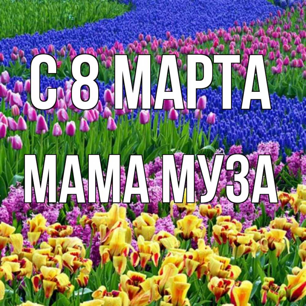 Открытка на каждый день с именем, Мама-Муза С 8 МАРТА цветы Прикольная открытка с пожеланием онлайн скачать бесплатно 