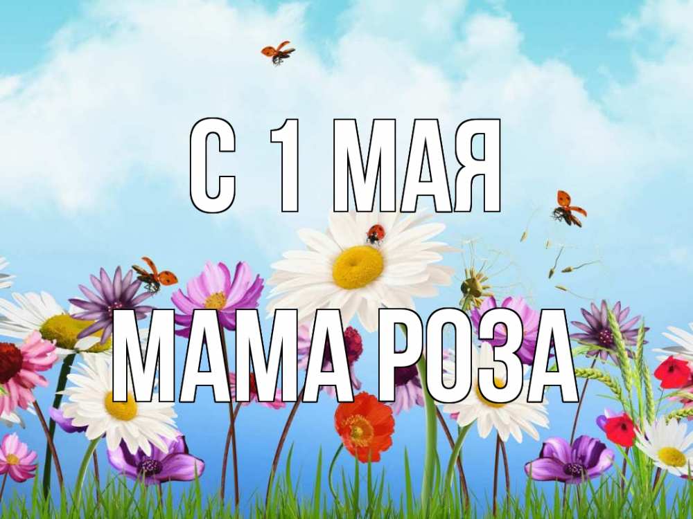 Открытка на каждый день с именем, Мама-Роза С 1 мая С 1 мая Прикольная открытка с пожеланием онлайн скачать бесплатно 