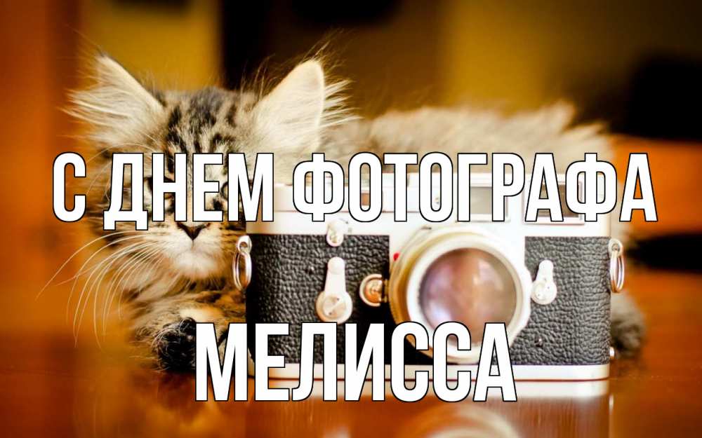 Открытка на каждый день с именем, Мелисса С днем фотографа с днем фотографа Прикольная открытка с пожеланием онлайн скачать бесплатно 