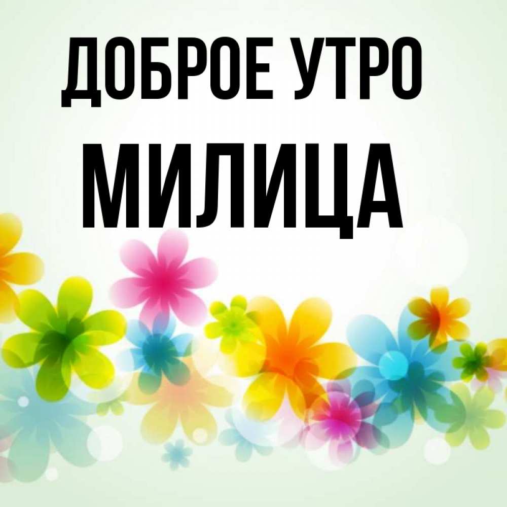 Открытка на каждый день с именем, Милица Доброе утро позитивные цветочки Прикольная открытка с пожеланием онлайн скачать бесплатно 