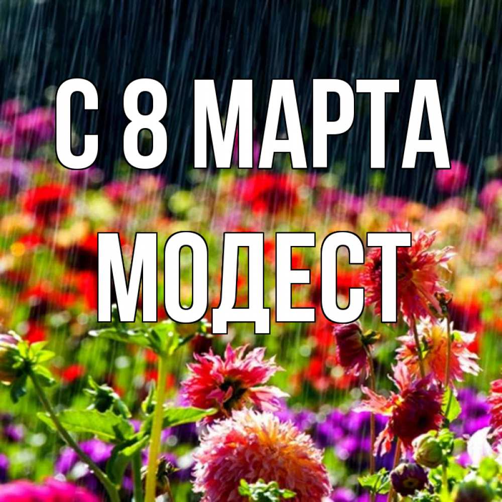 Открытка на каждый день с именем, Модест С 8 марта цветы под дождиком к международному женскому дню Прикольная открытка с пожеланием онлайн скачать бесплатно 