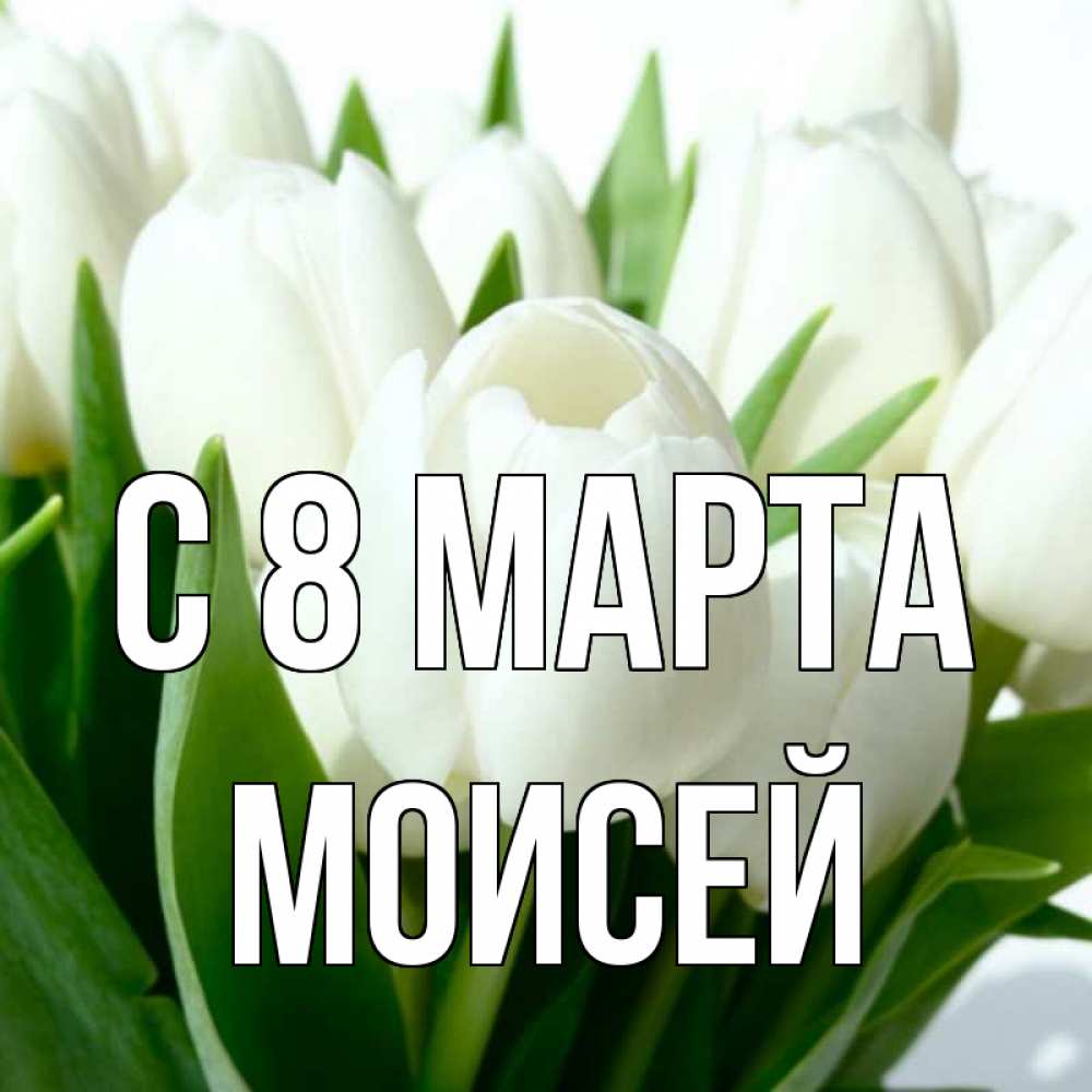 Картинка С 8 марта, Моисей