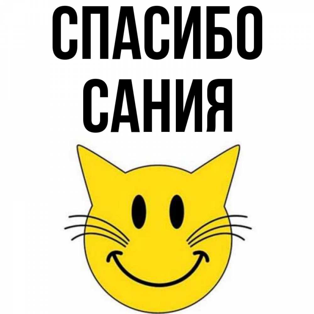 Открытка на каждый день с именем, Сания Спасибо улыбающийся смайл кот Прикольная открытка с пожеланием онлайн скачать бесплатно 