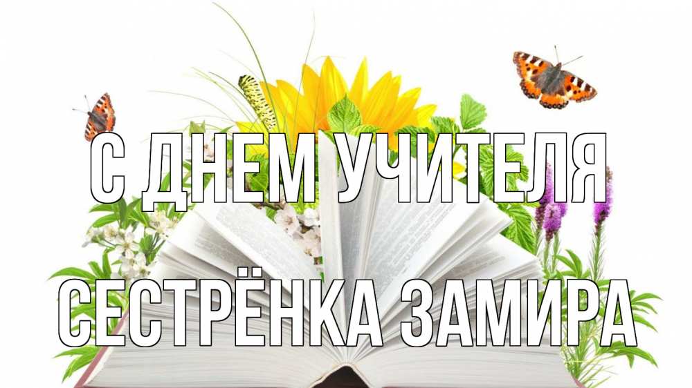 Открытка на каждый день с именем, Сестрёнка-Замира С днем учителя с днем учителя Прикольная открытка с пожеланием онлайн скачать бесплатно 
