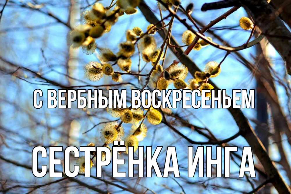 Открытка на каждый день с именем, Сестрёнка-Инга С вербным воскресеньем верба Прикольная открытка с пожеланием онлайн скачать бесплатно 