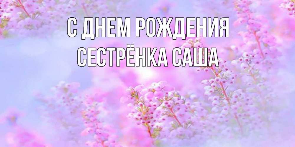 Открытка на каждый день с именем, Сестрёнка-Саша С днем рождения красивая открытка с мелкими цветами Прикольная открытка с пожеланием онлайн скачать бесплатно 