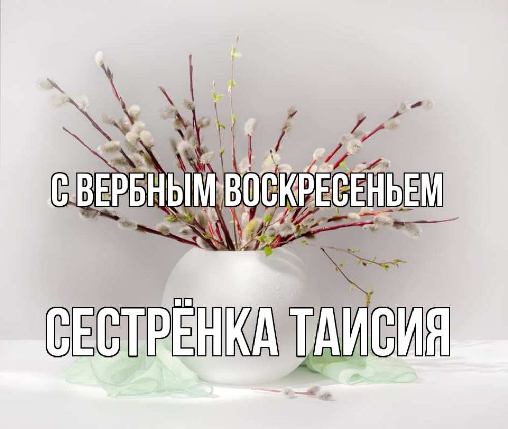 Открытка на каждый день с именем, Сестрёнка-Таисия С вербным воскресеньем верба Прикольная открытка с пожеланием онлайн скачать бесплатно 