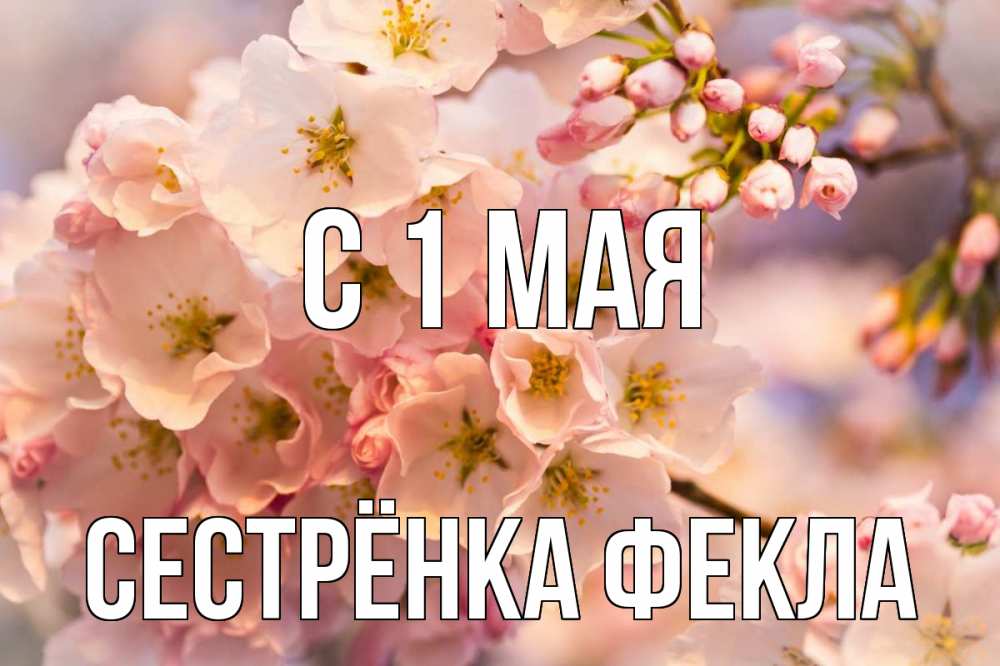 Открытка на каждый день с именем, Сестрёнка-Фекла С 1 мая С 1 мая Прикольная открытка с пожеланием онлайн скачать бесплатно 