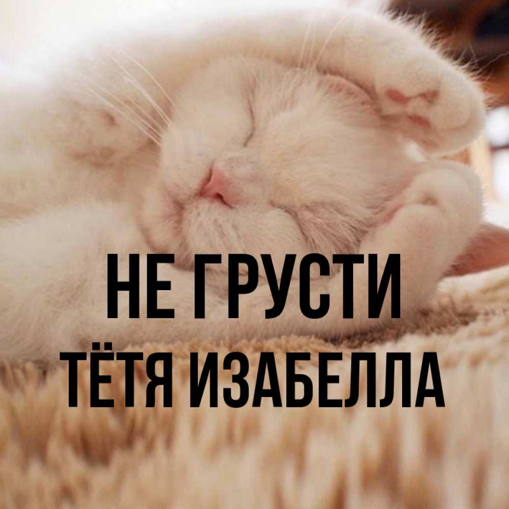 Открытка на каждый день с именем, Тётя-Изабелла Не грусти Котенок спит Прикольная открытка с пожеланием онлайн скачать бесплатно 