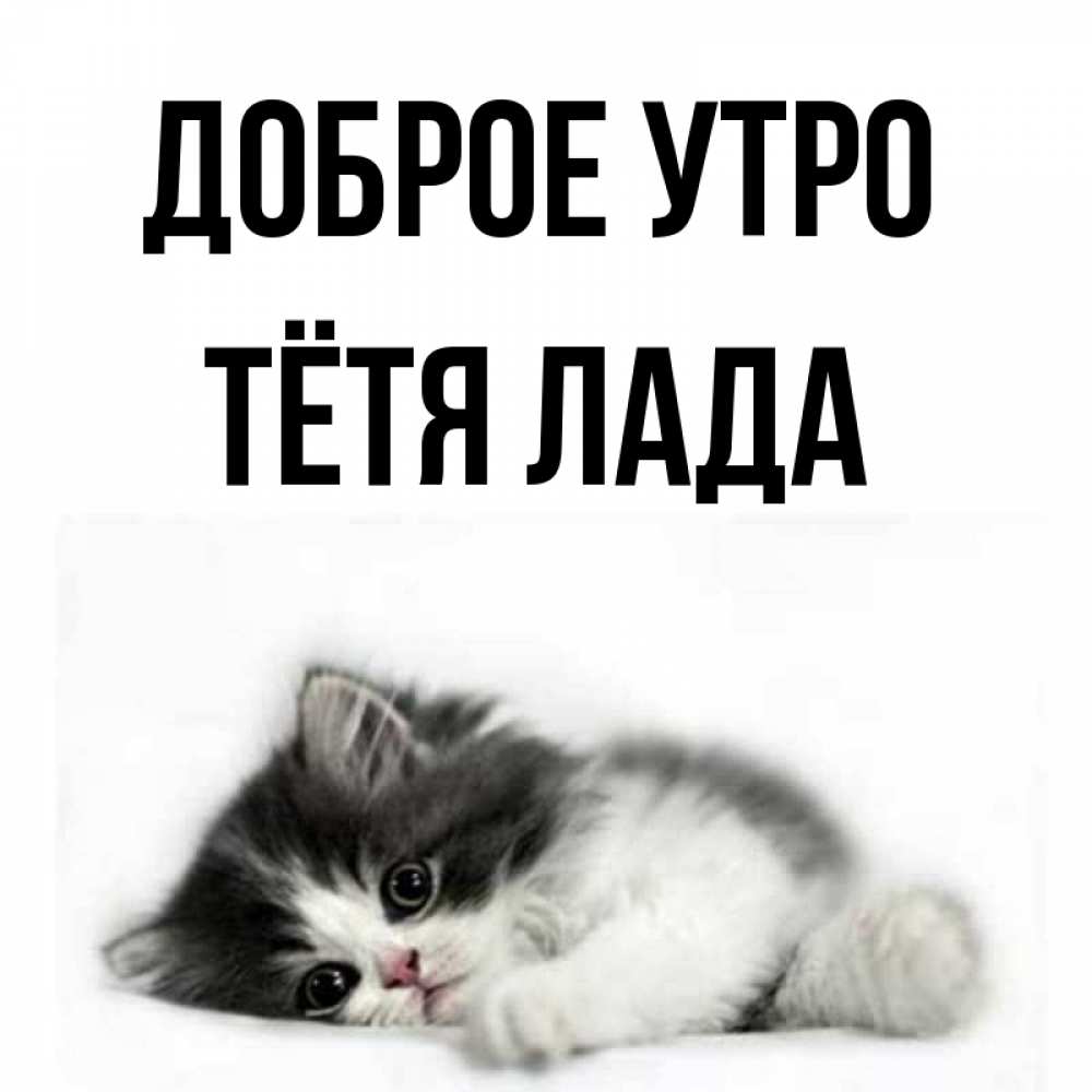 Открытка на каждый день с именем, Тётя-Лада Доброе утро кот лапки Прикольная открытка с пожеланием онлайн скачать бесплатно 
