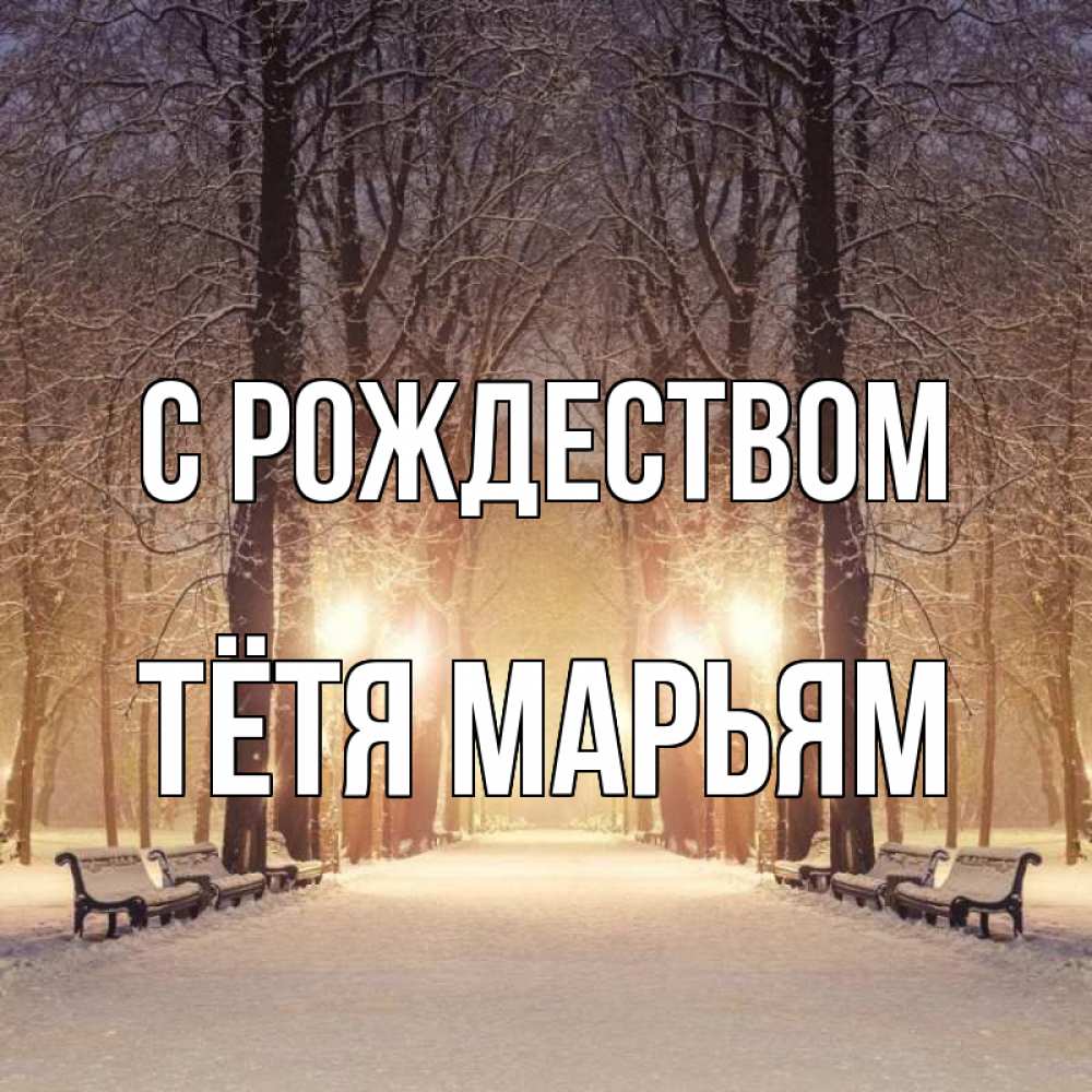 Открытка на каждый день с именем, Тётя-Марьям С рождеством зима, парк, фонарь, лес Прикольная открытка с пожеланием онлайн скачать бесплатно 