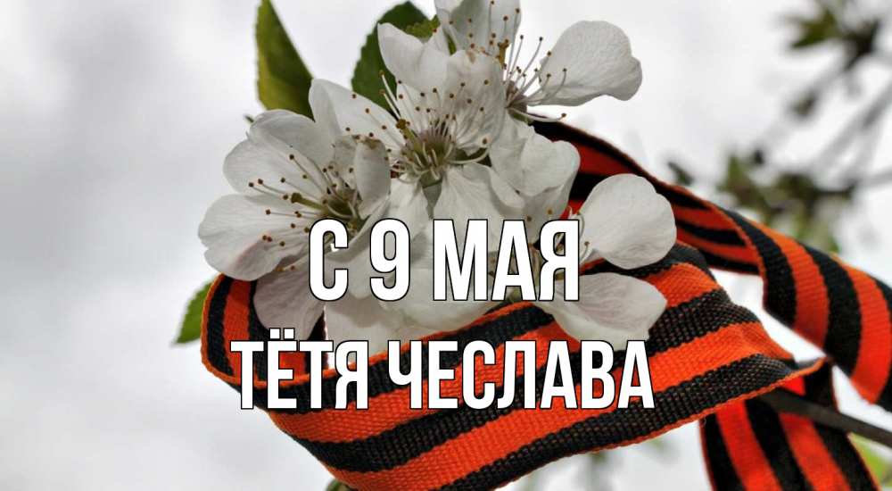 Открытка на каждый день с именем, Тётя-Чеслава С 9 мая 9 мая Прикольная открытка с пожеланием онлайн скачать бесплатно 