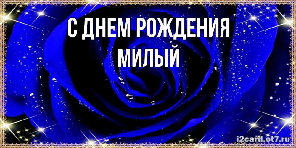 Открытка на каждый день с именем, милый С днем рождения голубые цветы в росе Прикольная открытка с пожеланием онлайн скачать бесплатно 