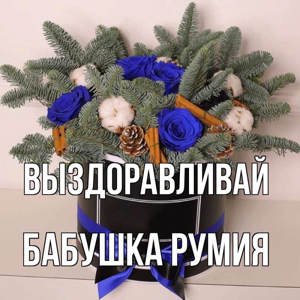 Открытка на каждый день с именем, Бабушка-Румия Выздоравливай короче кто то загрузил эти шишки Прикольная открытка с пожеланием онлайн скачать бесплатно 