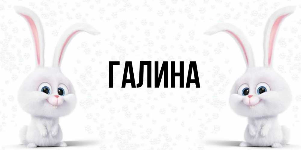 Открытка на каждый день с именем, Галина Главная кролики с длинными ушками Прикольная открытка с пожеланием онлайн скачать бесплатно 