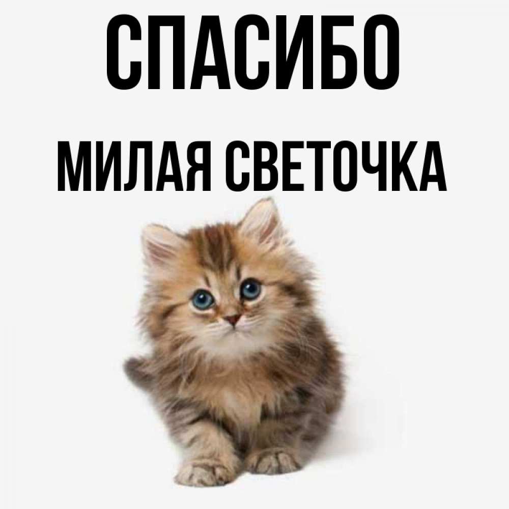 Спасибо светочка картинки