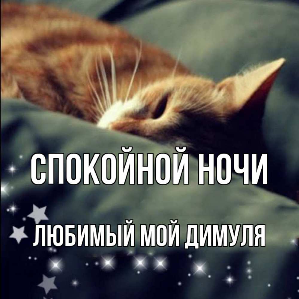 Спокойной ночи димуля картинки