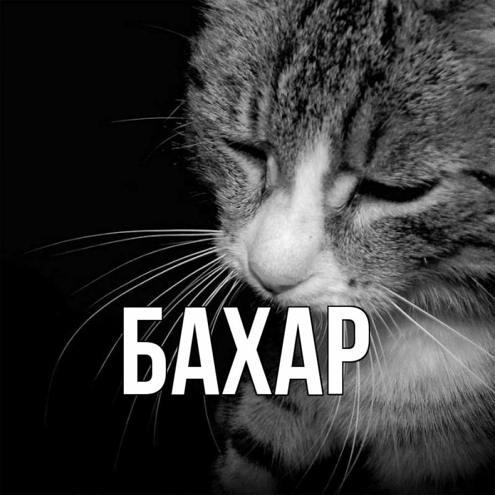 Открытка на каждый день с именем, Бахар Главная мне скучно Прикольная открытка с пожеланием онлайн скачать бесплатно 