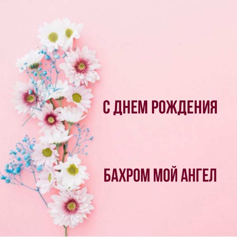 Открытка на каждый день с именем, БАХРОМ-МОЙ-АНГЕЛ С днем рождения Родная моя с днем рождения тебя картинка с цветами белыми и голубыми Прикольная открытка с пожеланием онлайн скачать бесплатно 