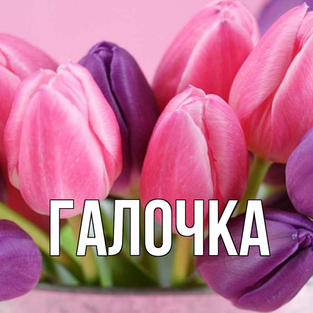 Открытка на каждый день с именем, Галочка Главная маме 1 Прикольная открытка с пожеланием онлайн скачать бесплатно 