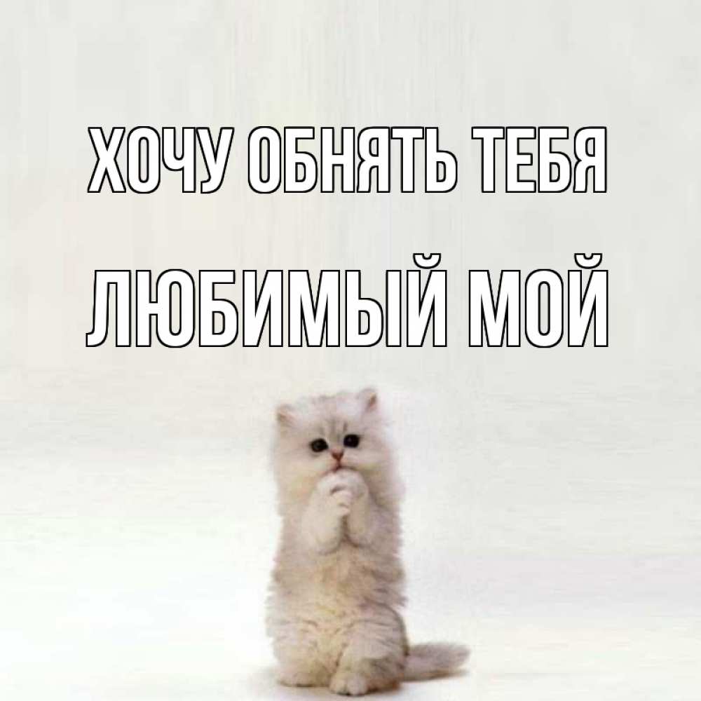 Картинки люблю хочу