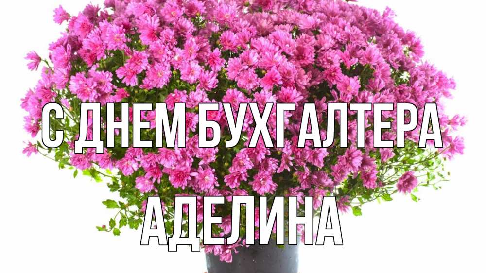 Открытка на каждый день с именем, Аделина С днем бухгалтера с днем бухгалтера Прикольная открытка с пожеланием онлайн скачать бесплатно 