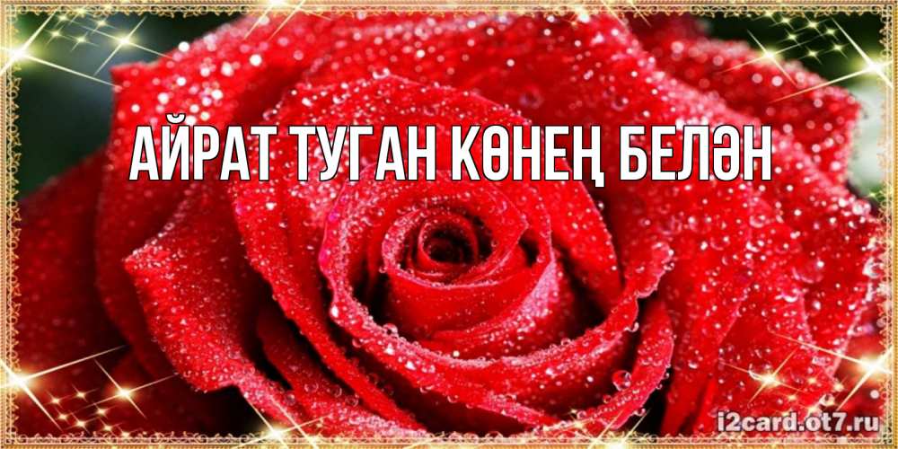 Открытка на каждый день с именем, Айрат-туган-көнең-белән Главная роса и роза. открытка с красивой розой Прикольная открытка с пожеланием онлайн скачать бесплатно 