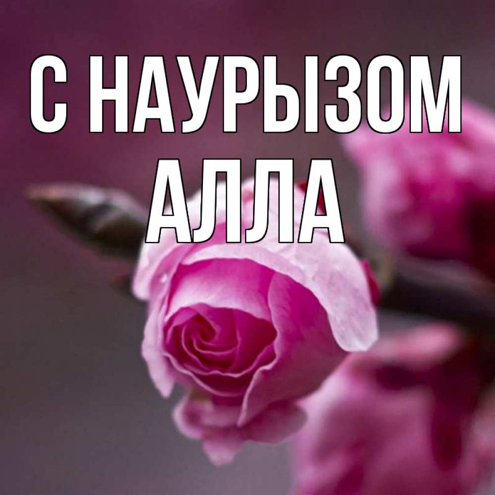 Открытка на каждый день с именем, Алла С наурызом весна Прикольная открытка с пожеланием онлайн скачать бесплатно 