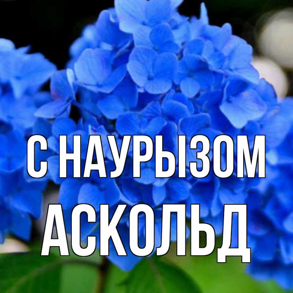 Открытка на каждый день с именем, Аскольд С наурызом синие цветы Прикольная открытка с пожеланием онлайн скачать бесплатно 