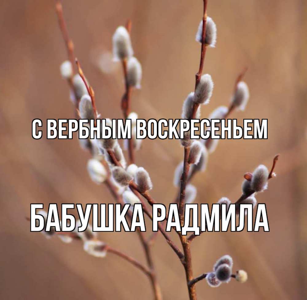 Открытка на каждый день с именем, Бабушка-Радмила С вербным воскресеньем верба Прикольная открытка с пожеланием онлайн скачать бесплатно 
