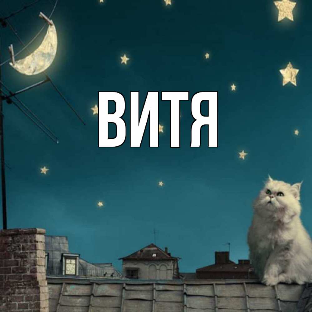 Поздравление На Имя Витя