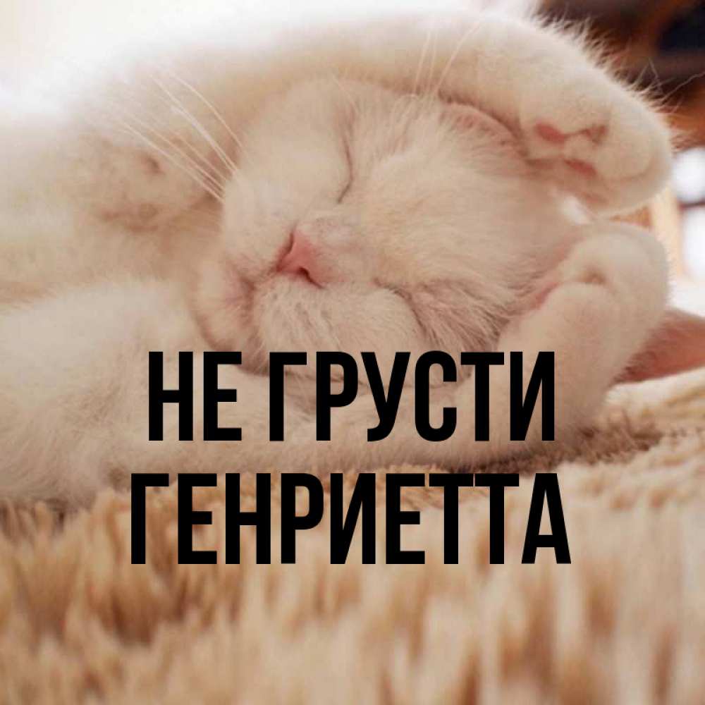 Открытка на каждый день с именем, Генриетта Не грусти Котенок спит Прикольная открытка с пожеланием онлайн скачать бесплатно 