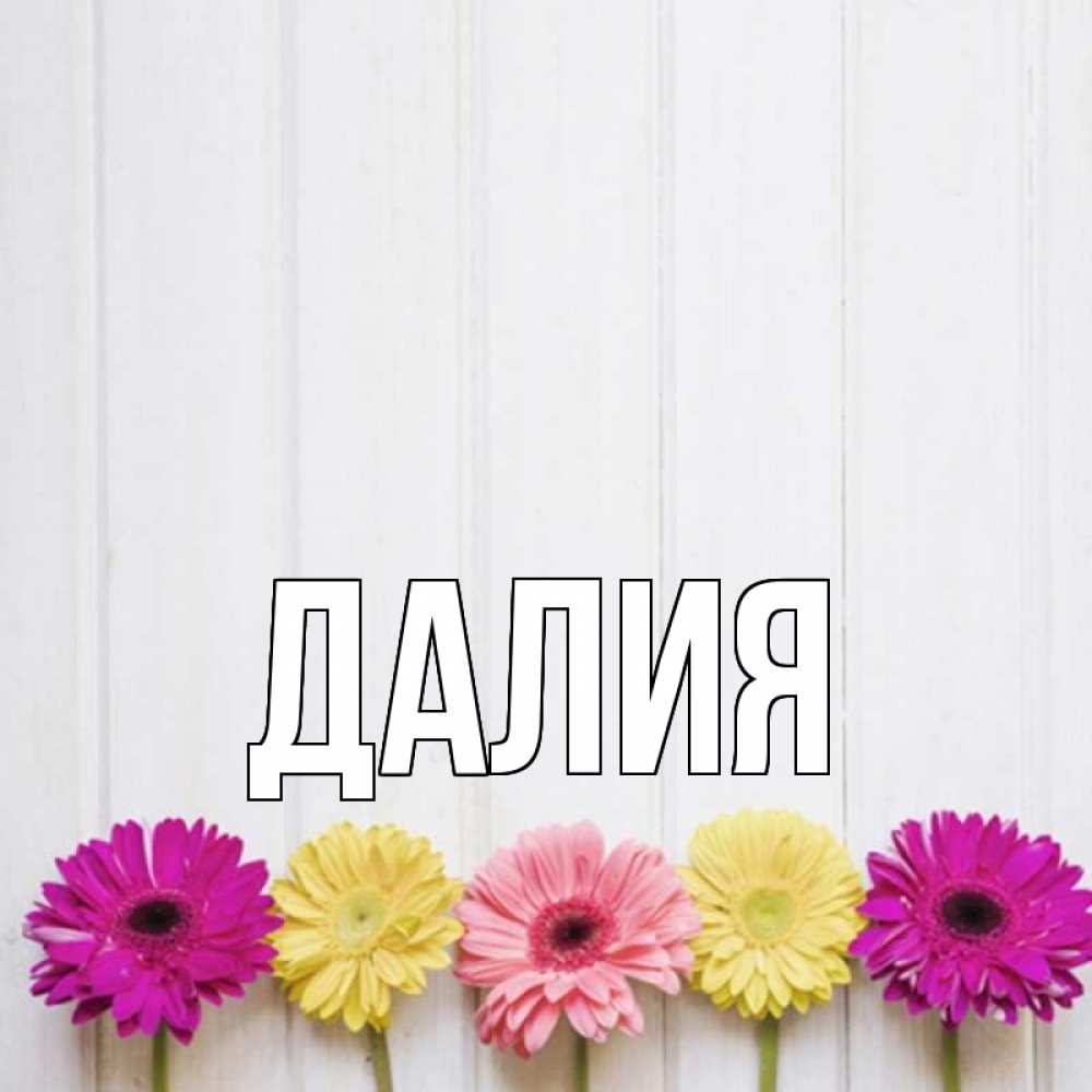 Открытка на каждый день с именем, Далия Главная женщинам 1 Прикольная открытка с пожеланием онлайн скачать бесплатно 