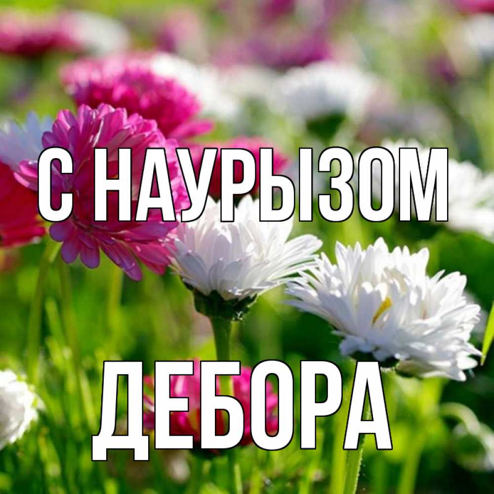 Открытка на каждый день с именем, Дебора С наурызом праздник весны наурыз красота Прикольная открытка с пожеланием онлайн скачать бесплатно 