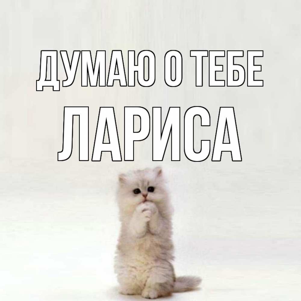 Открытка на каждый день с именем, Лариса Думаю о тебе кот стоит на задних лапах Прикольная открытка с пожеланием онлайн скачать бесплатно 