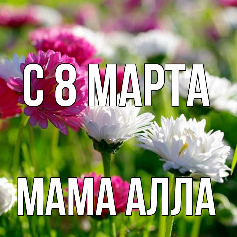 Открытка на каждый день с именем, Мама-Алла С 8 МАРТА международный женский день 1 Прикольная открытка с пожеланием онлайн скачать бесплатно 