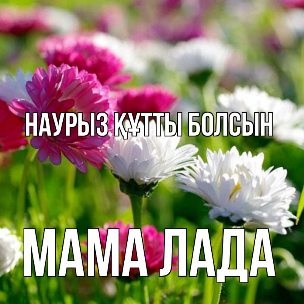 Открытка на каждый день с именем, Мама-Лада Наурыз құтты болсын наурыз Прикольная открытка с пожеланием онлайн скачать бесплатно 