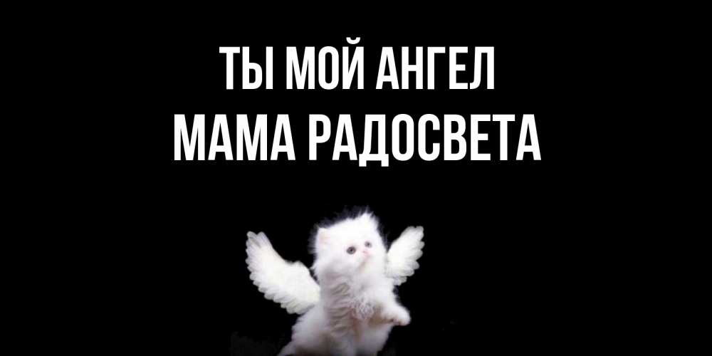 Открытка на каждый день с именем, Мама-Радосвета Ты мой ангел Кот ангел Прикольная открытка с пожеланием онлайн скачать бесплатно 
