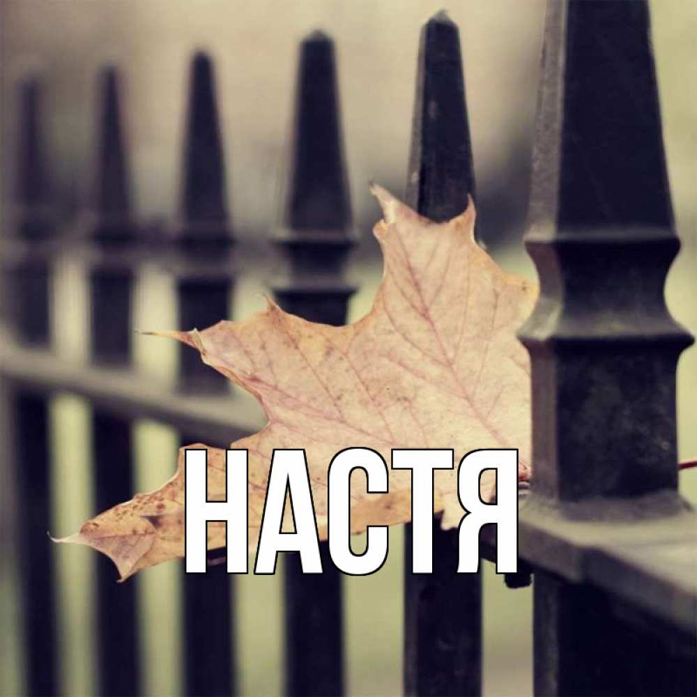 Открытка на каждый день с именем, Настя Главная лист клена Прикольная открытка с пожеланием онлайн скачать бесплатно 