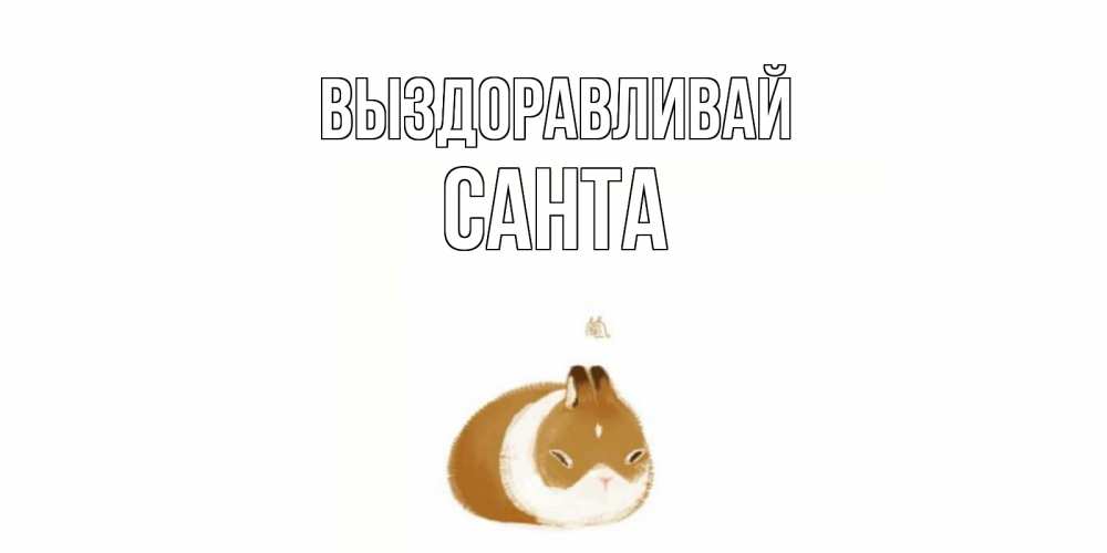 Открытка на каждый день с именем, Санта Выздоравливай морская свинка на открытке с пожеланиями не болеть Прикольная открытка с пожеланием онлайн скачать бесплатно 