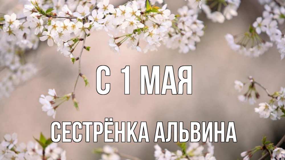Открытка на каждый день с именем, Сестрёнка-Альвина С 1 мая С 1 мая Прикольная открытка с пожеланием онлайн скачать бесплатно 