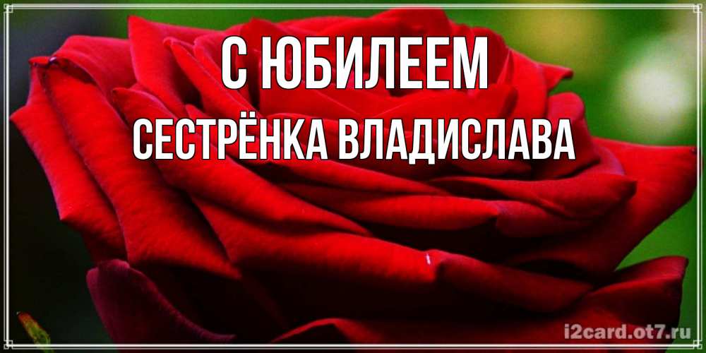 Открытка на каждый день с именем, Сестрёнка-Владислава С юбилеем розочка очень красивая Прикольная открытка с пожеланием онлайн скачать бесплатно 