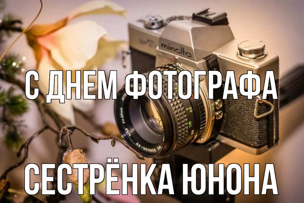 Открытка на каждый день с именем, Сестрёнка-Юнона С днем фотографа с днем фотографа 1 Прикольная открытка с пожеланием онлайн скачать бесплатно 
