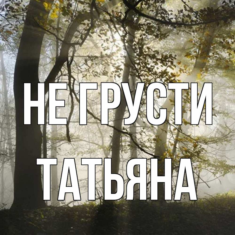 Открытка на каждый день с именем, Татьяна Не грусти лес и свет Прикольная открытка с пожеланием онлайн скачать бесплатно 