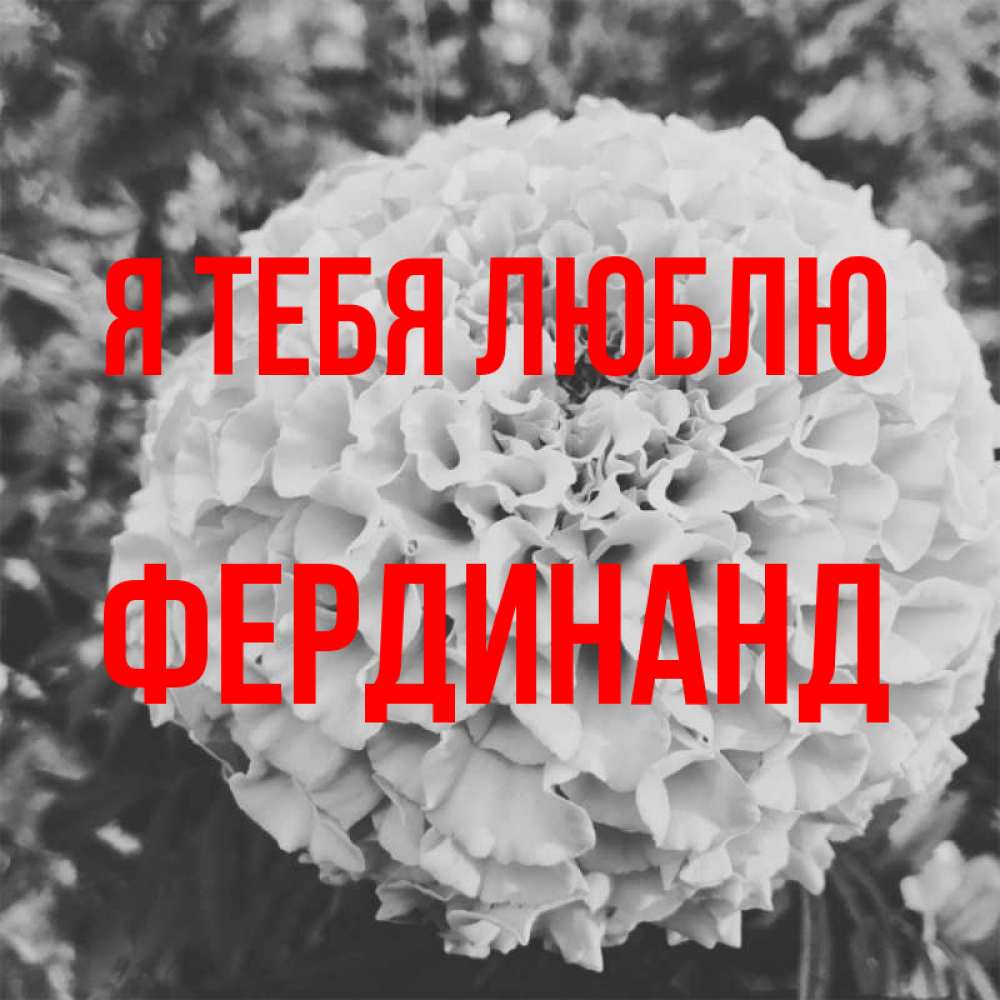 Открытка на каждый день с именем, Фердинанд Я тебя люблю подпись Прикольная открытка с пожеланием онлайн скачать бесплатно 