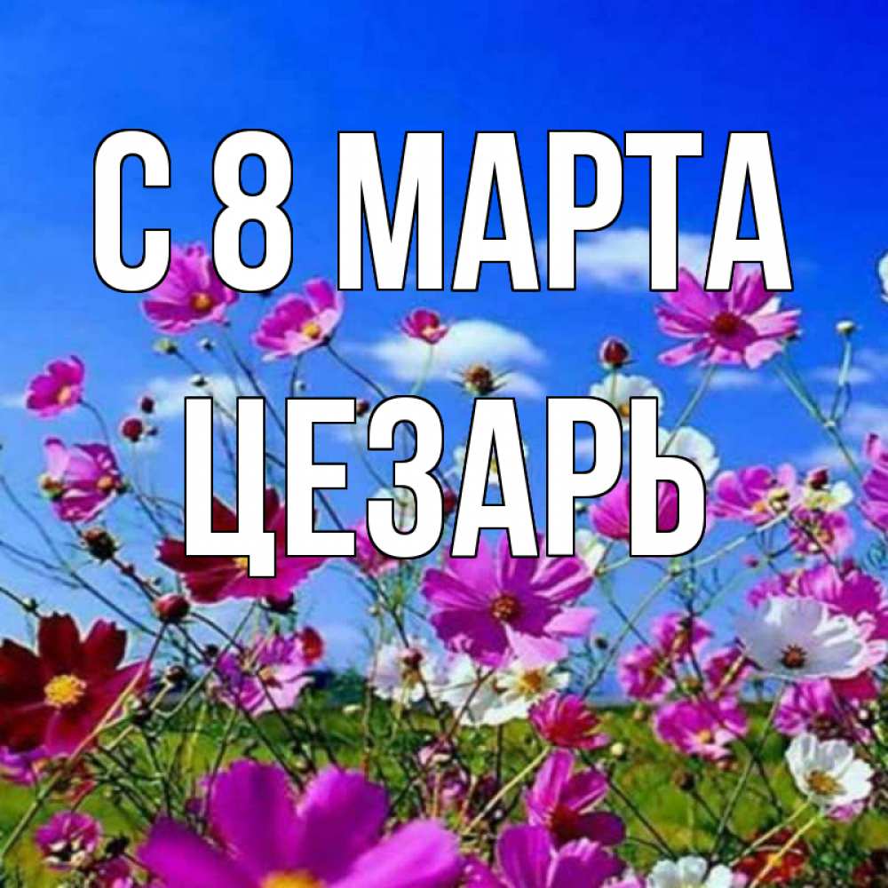 Открытка на каждый день с именем, Цезарь С 8 МАРТА цветы Прикольная открытка с пожеланием онлайн скачать бесплатно 