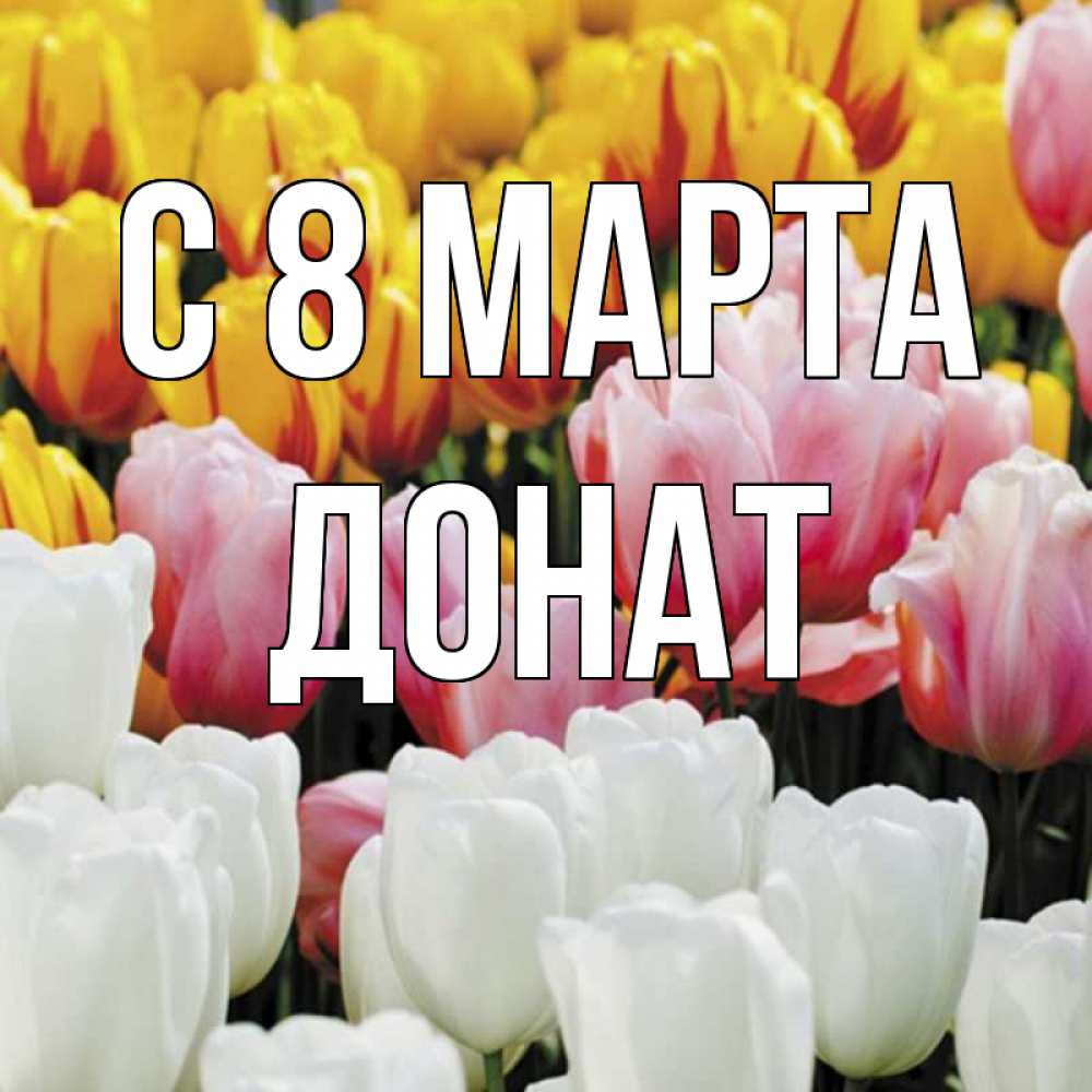 Открытка на каждый день с именем, Донат С 8 МАРТА разноцветные цветы Прикольная открытка с пожеланием онлайн скачать бесплатно 