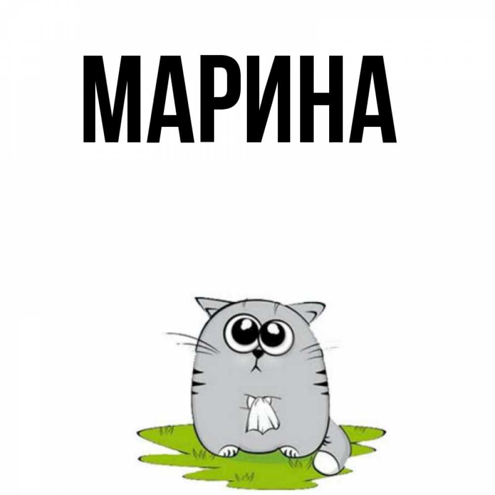 Открытка на каждый день с именем, Марина Главная котик теребит платочек сидя на травке Прикольная открытка с пожеланием онлайн скачать бесплатно 